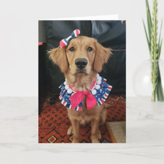 Carte De Remerciements Golden Retriever patriotique, 4 juillet salutation