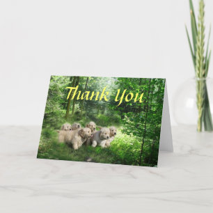 Carte de remerciements Golden Retriever Puppies