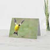 Carte De Remerciements Goldfinch Spring Garden Wedding (Dos)