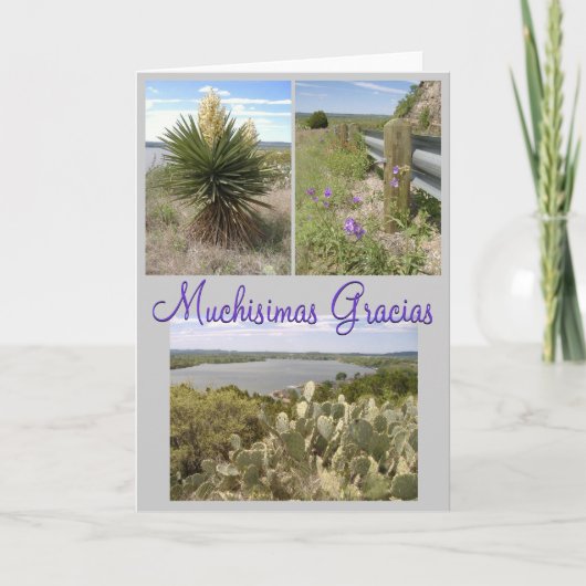 Carte De Remerciements Gracias ! (Devant)