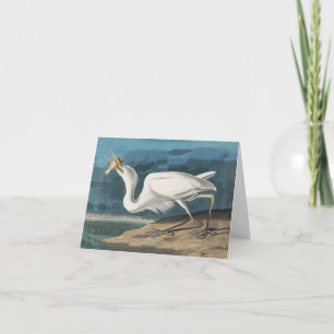Carte De Remerciements Grande Aigrette d'Audubon : Oiseau côtier vintage