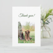 Carte De Remerciements Green Branches Flat Thank You Card (Debout devant)