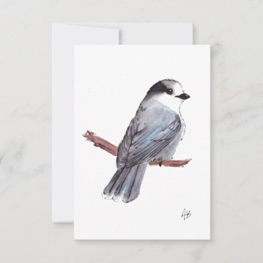 Carte De Remerciements Grey Jay (Devant)