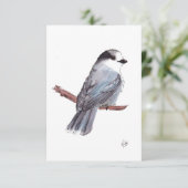 Carte De Remerciements Grey Jay (Debout devant)