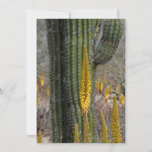 Carte De Remerciements Gros plan sur cactus et agave