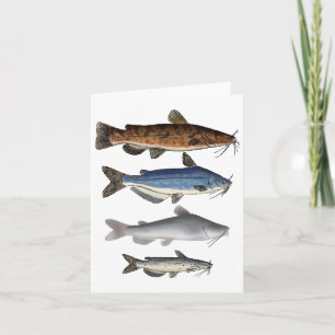 Carte De Remerciements Groupe de poissons de l'Amérique du Nord