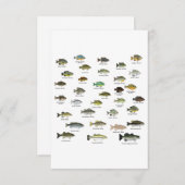 Carte De Remerciements Groupe nord-américain du poisson-soleil (Devant / Derrière)