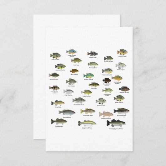 Carte De Remerciements Groupe nord-américain du poisson-soleil (Devant / Derrière)