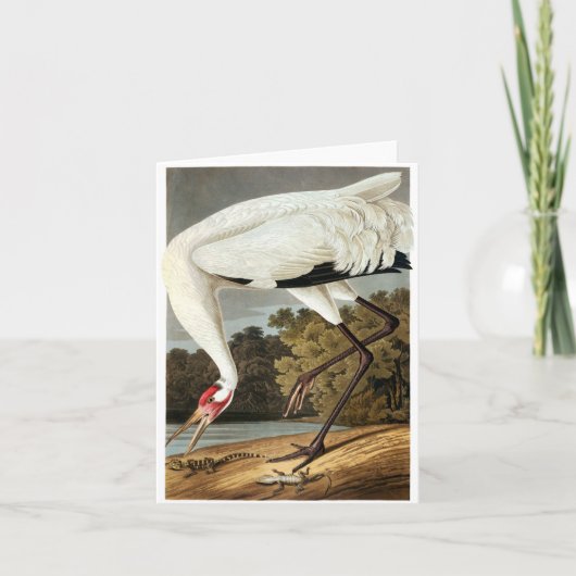 Carte De Remerciements Grue blanche par John James Audubon (Devant)