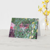 carte de remerciements "Habitat Flamant rose" (Fleur jaune)