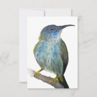 Carte De Remerciements Hand-drawn blue tinted hummingbird notecard.