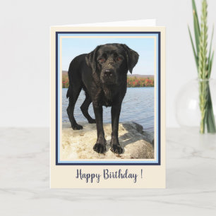 Carte De Remerciements Happy Birthday Black Labrador Beach