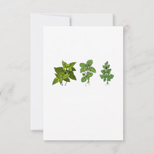 Carte De Remerciements Herbes, thème herbes