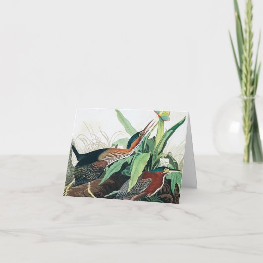 Carte De Remerciements Heron vert par John James Audubon (Devant)