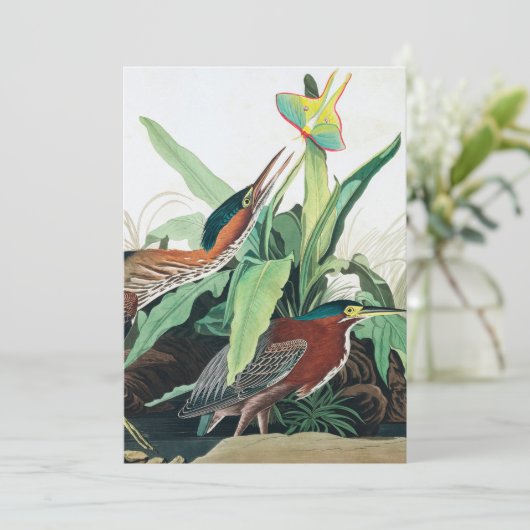 Carte De Remerciements Héron vert par John James Audubon (Debout devant)
