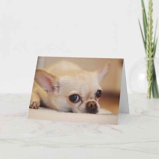 Carte De Remerciements Heureuse Sainte-Valentin | Visage de chien | Ajout (Devant)