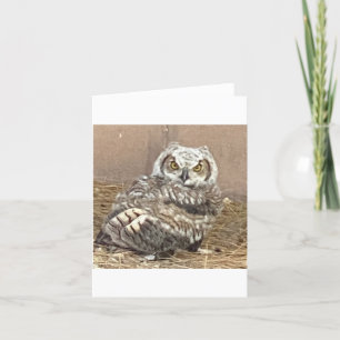 Carte De Remerciements Hibou 🦉 bébé