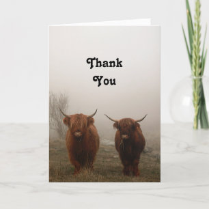 Carte De Remerciements Highland Cattle