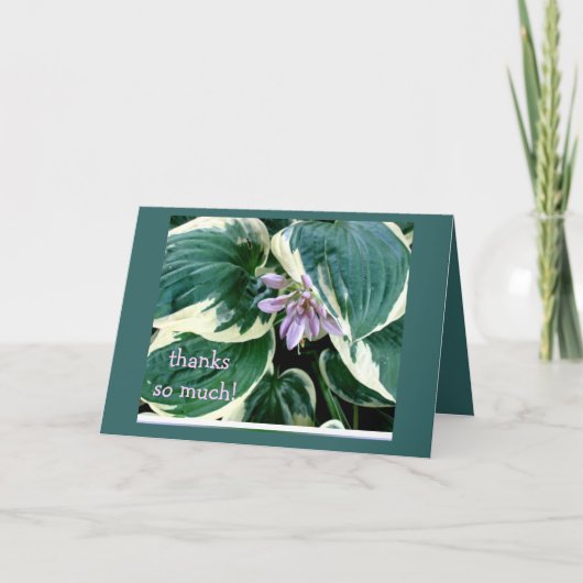 Carte De Remerciements Hosta Thank you card (Devant)
