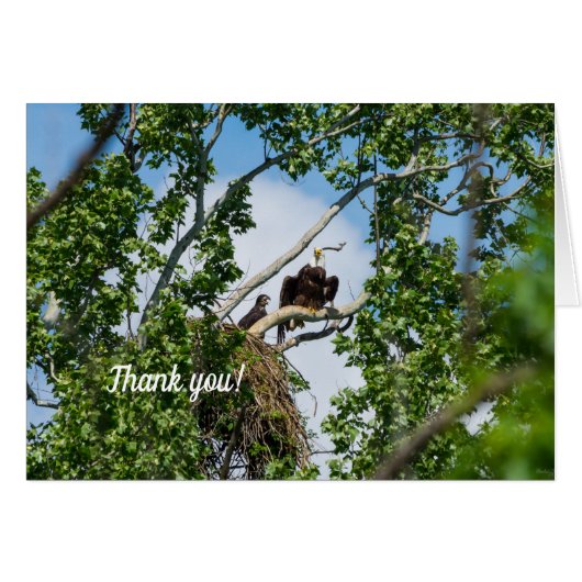 Carte de remerciements Hot Eagles (Devant Horizontal)