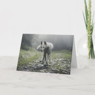 Carte De Remerciements Husky Sibérien Blanc