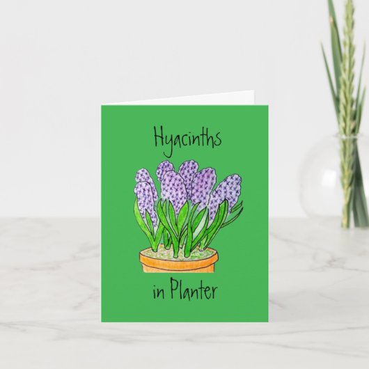 Carte De Remerciements Hyacinths in Planter Blank Greeting Card (Devant)