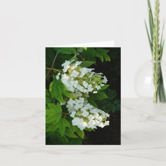 Carte De Remerciements Hydrangea à feuilles d'orme (Devant)