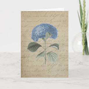 Carte De Remerciements Hydrangea bleu vintage avec Calligraphie antique