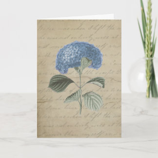 Carte De Remerciements Hydrangea bleu vintage avec Calligraphie antique