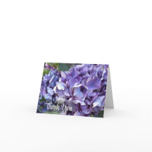 Hydrangea Fleur Violette