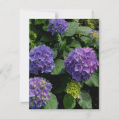 Carte De Remerciements Hydrangeas jardin fleuri bleu violet (Dos)