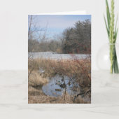 carte de remerciements "Hyland Lake Ducks #1" (Devant)