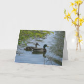 carte de remerciements "Hyland May Day Mallards #1 (Fleur jaune)