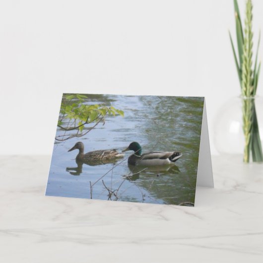 carte de remerciements "Hyland May Day Mallards #2 (Devant)