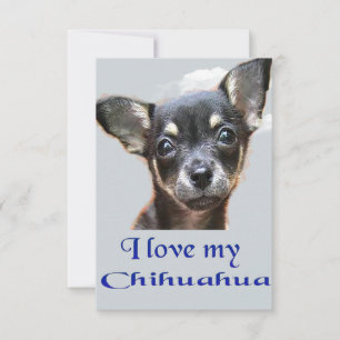 Carte De Remerciements I love my chihuahua