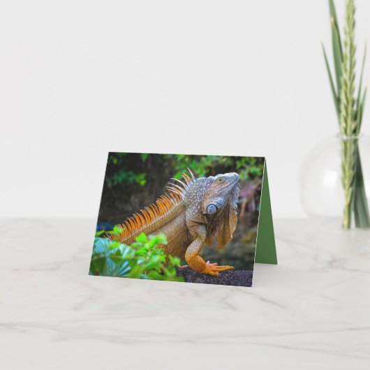 Carte De Remerciements "Iguane" (Devant)