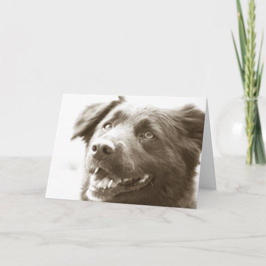 Carte De Remerciements Il était grand vous voyant ! (Devant)