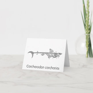 Carte De Remerciements Illustration vintage - Squelette de Grand Requin B