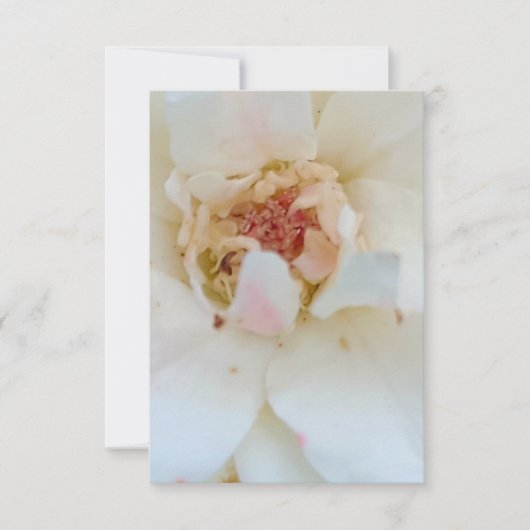 Carte De Remerciements Inventions card (Devant)