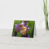 Carte De Remerciements Iris à poils (Devant)