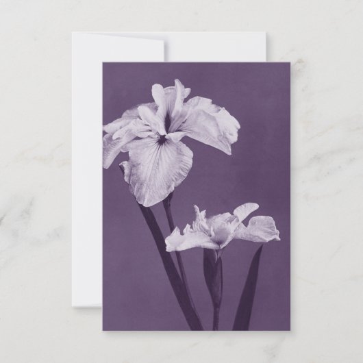 Carte De Remerciements Iris Fine Art (Devant)