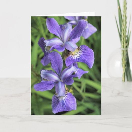 Carte De Remerciements Iris pourpre (Devant)