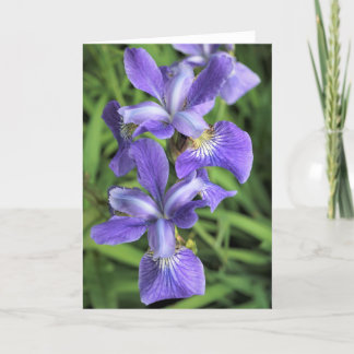 Carte De Remerciements Iris pourpre