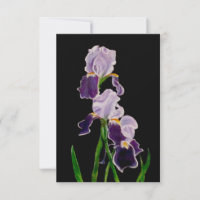 Iris Purple