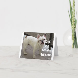 Carte De Remerciements J'Aime Mon Chien À Balle Français