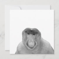 Janusz Meme, Proboscis Monkey, Polak, Pole Janus