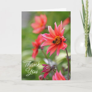 Carte De Remerciements Jardin de fleurs de dahlia roses et rouges avec ab