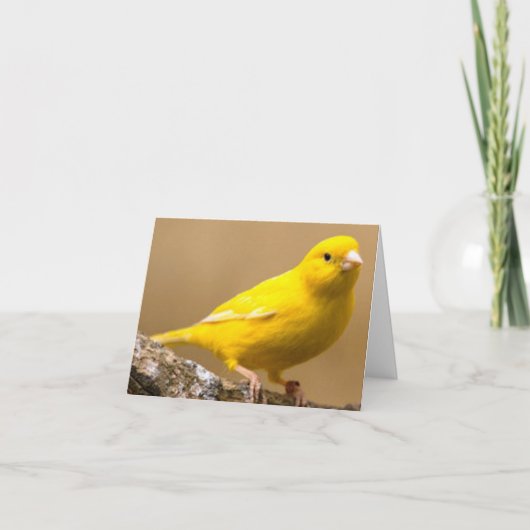Carte De Remerciements Jaune-Canari-Oiseau-Images (Devant)