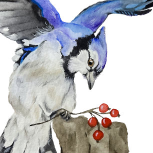 Carte De Remerciements Jay bleu d'oiseau de la forêt
