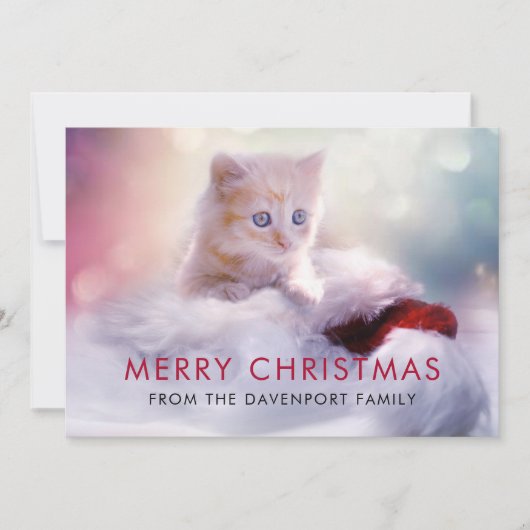 Carte De Remerciements Jolie Noël Kitten Festive (Devant)